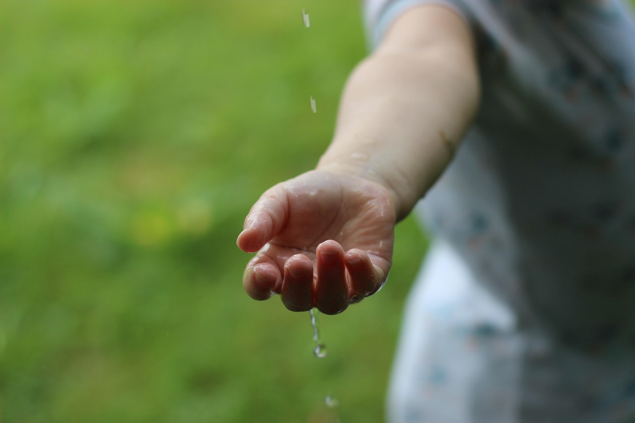 Rain, water, element — Should Every Household Have Domestic Helper Insurance and Pet Insurance?