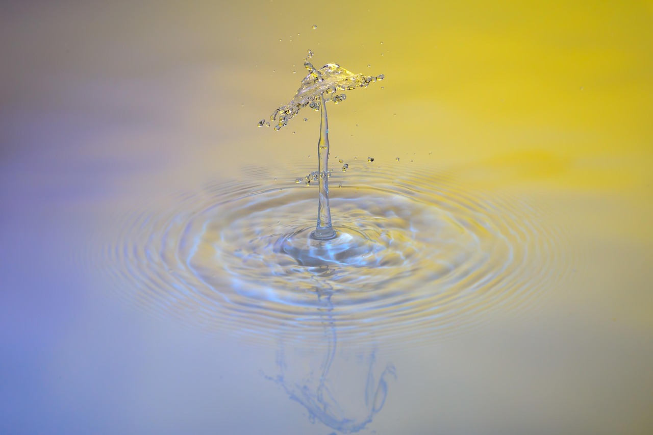 Drops, water, waterdrop — Why Accurate Payroll Records Are Crucial During Tax Season
