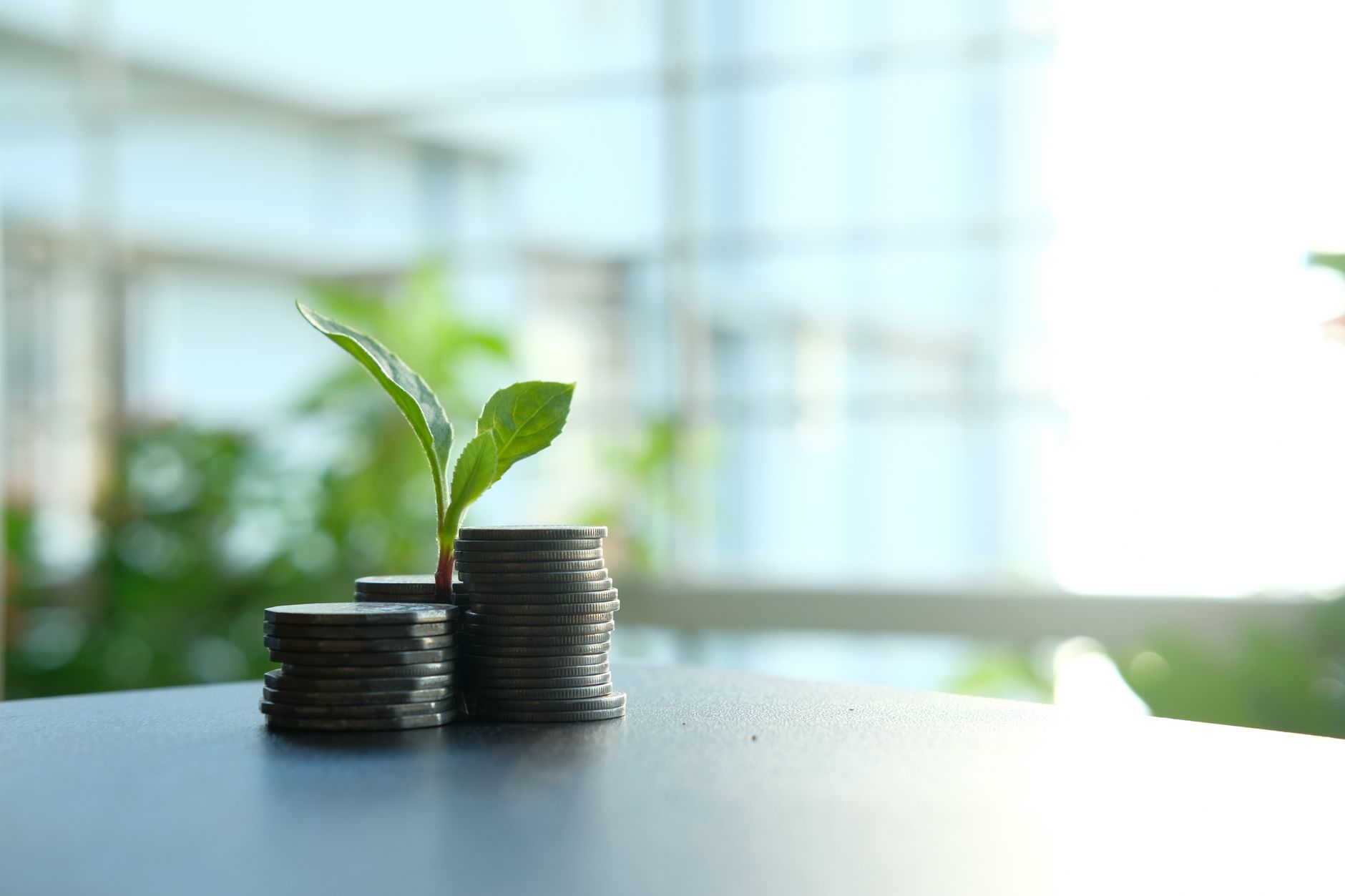 Hillman Solutions Q3 earnings