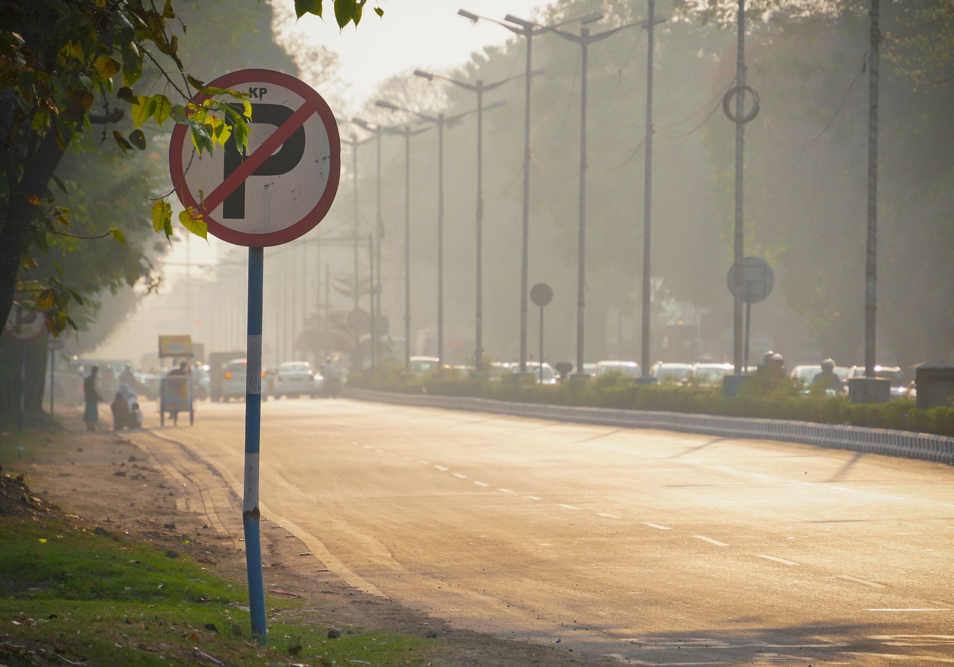 India insurance rules